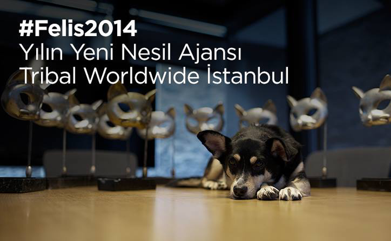 Yılın en yeni nesil ajansı! Tribal Worldwide İstanbul